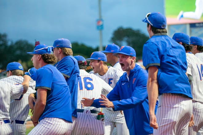 The Gator dugout erupts after Ty Evans three run homer in the bottom of the eighth inning to beat Florida State University, Tuesday, April 11, 2023, at Condron Family Baseball Park in Gainesville, Florida. The Gators beat the Seminoles 5-3. [Cyndi Chambers/ Gainesville Sun] 2023