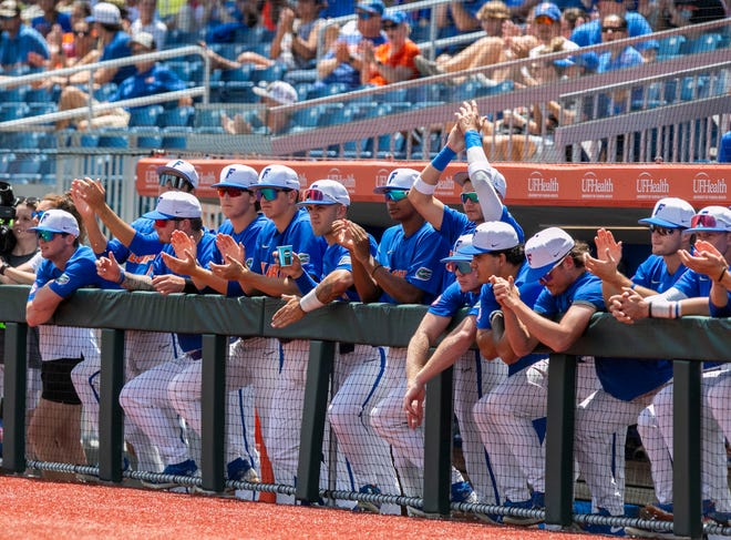 Gators dugout cheers on teammates in the bottom of the first inning against U Conn in NCAA Regionals, Sunday, June 4, 2023, at Condron Family Ballpark in Gainesville, Florida. Florida beat U Conn 8-2. [Cyndi Chambers/ Gainesville Sun] 2023