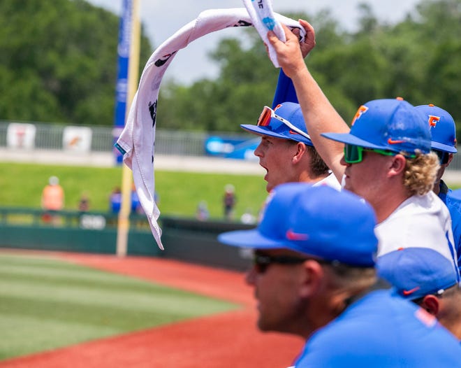 The Florida dugout cheers during the last inning of the NCAA Regionals win-all elimination game against Texas Tech, Monday, June 5, 2023, at Condron Family Ballpark in Gainesville, Florida. Florida beat Texas Tech 6-0 and advances to Super Regionals. [Cyndi Chambers/ Gainesville Sun] 2023