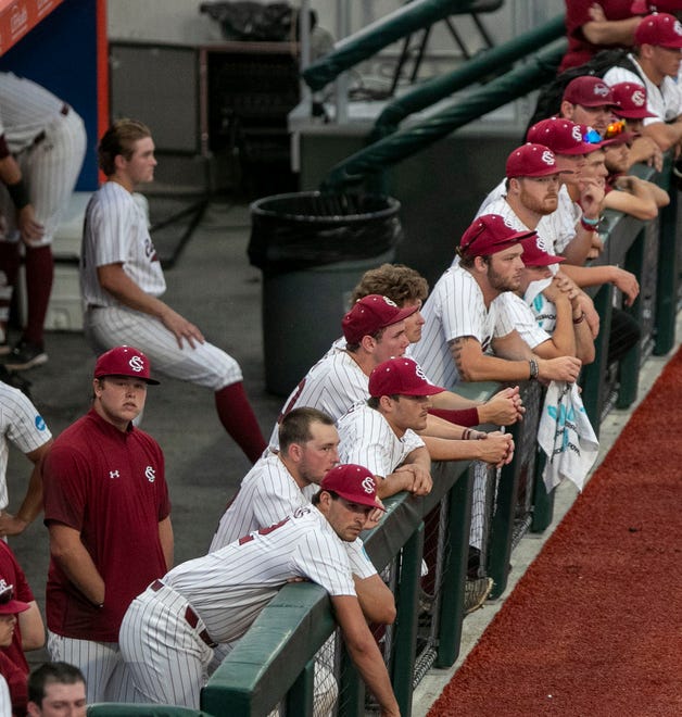 South Carolina watches frothier dugout as the Gators celebrate their 4-0 win in Game 2 of the NCAA Super Regional, Saturday, June 10, 2023, at Condron Family Ballpark in Gainesville, Florida. The Gators are headed to the College World Series in Omaha.  [Cyndi Chambers/ Gainesville Sun] 2023